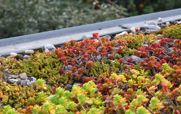 the cost of West Torrington green roof installation