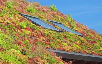 West Torrington living roof systems